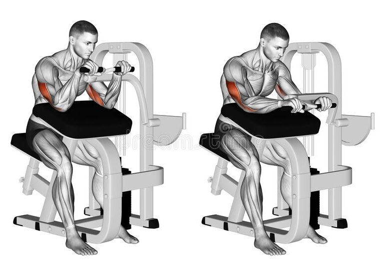 exercising-selectorized-triceps-extension-