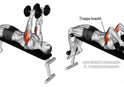 tricep extension